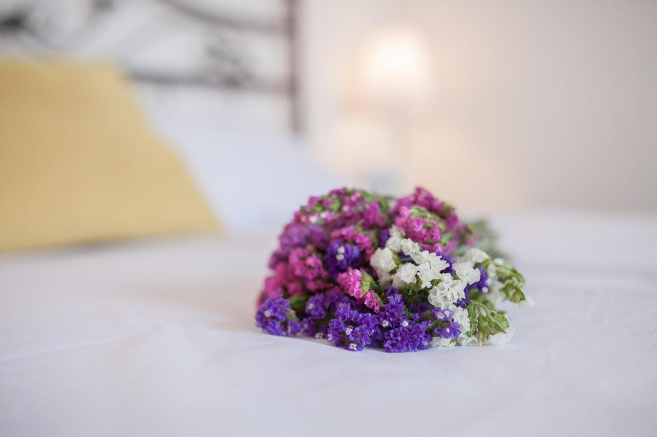 Imperium Central Apartments زادار المظهر الخارجي الصورة